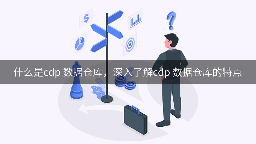 什么是cdp 数据仓库，深入了解cdp 数据仓库的特点