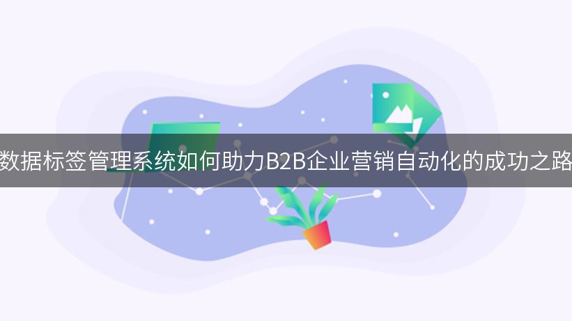 数据标签管理系统如何助力B2B企业营销自动化的成功之路