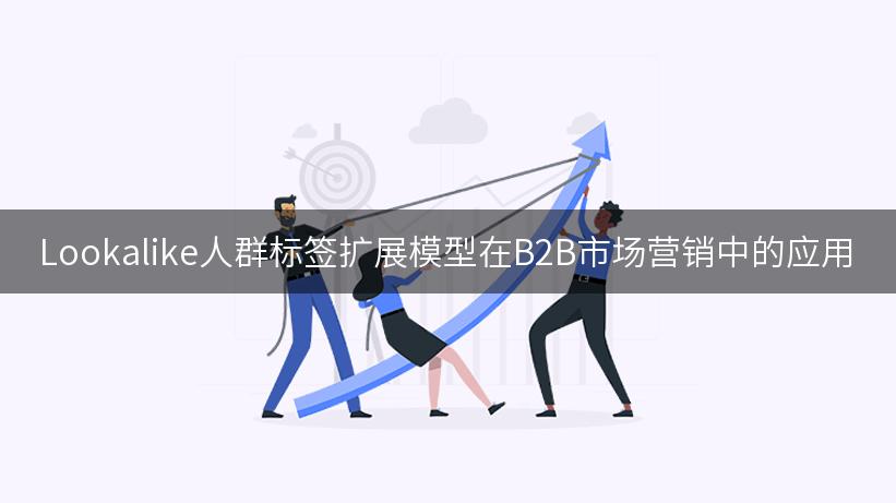 Lookalike人群标签扩展模型在B2B市场营销中的应用