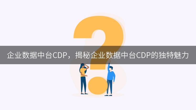 企业数据中台CDP，揭秘企业数据中台CDP的独特魅力