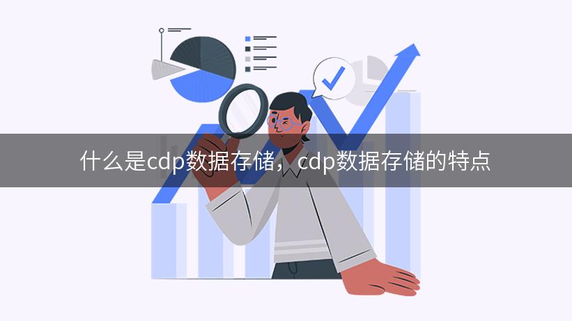 什么是cdp数据存储，cdp数据存储的特点