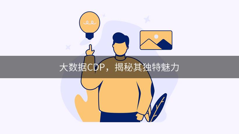 大数据CDP，揭秘其独特魅力