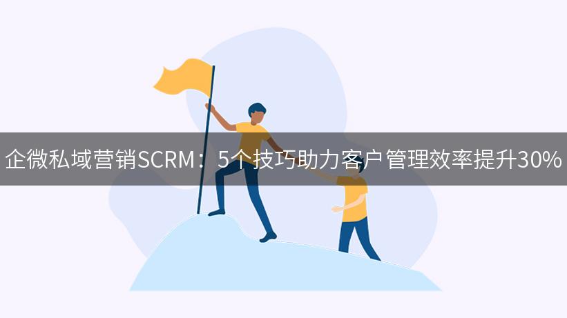 企微私域营销SCRM：5个技巧助力客户管理效率提升30%