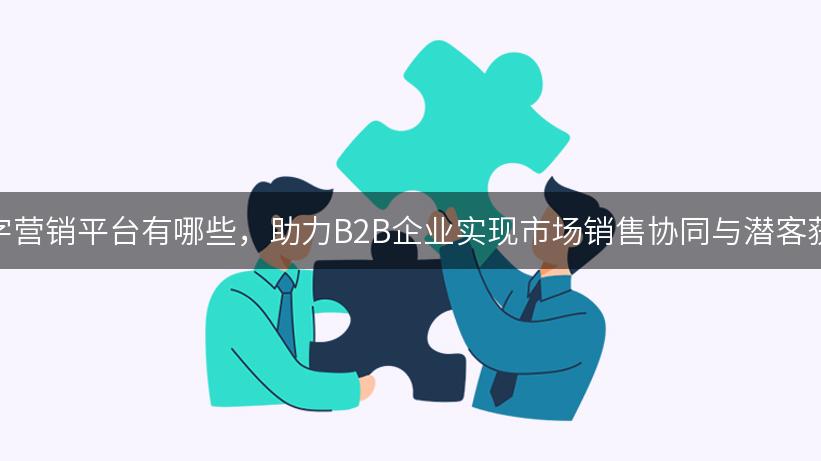 数字营销平台有哪些，助力B2B企业实现市场销售协同与潜客获取