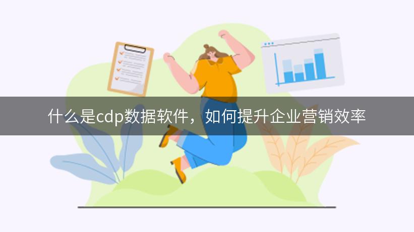 什么是cdp数据软件，如何提升企业营销效率