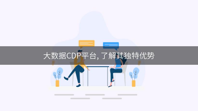 大数据CDP平台, 了解其独特优势