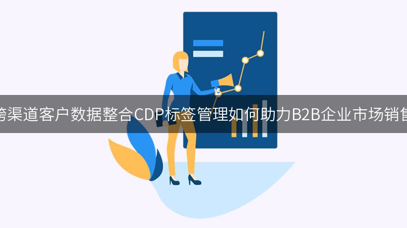 跨渠道客户数据整合CDP标签管理如何助力B2B企业市场销售