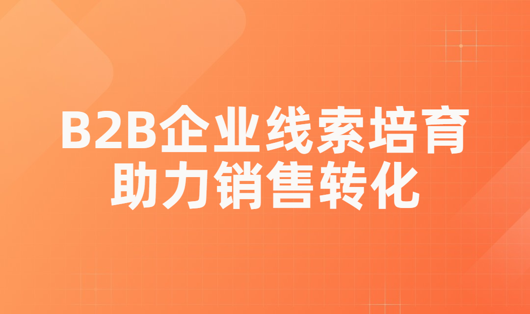 B2B线索培育助力销售转化，让你的线索价值最大化！