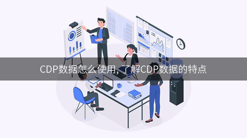 CDP数据怎么使用, 了解CDP数据的特点