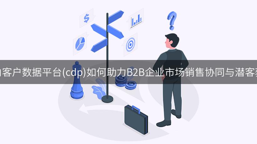 国内客户数据平台(cdp)如何助力B2B企业市场销售协同与潜客获取