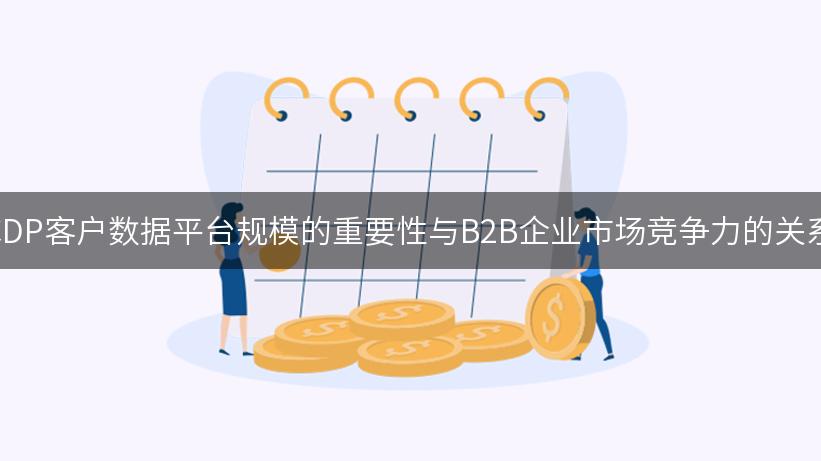 CDP客户数据平台规模的重要性与B2B企业市场竞争力的关系