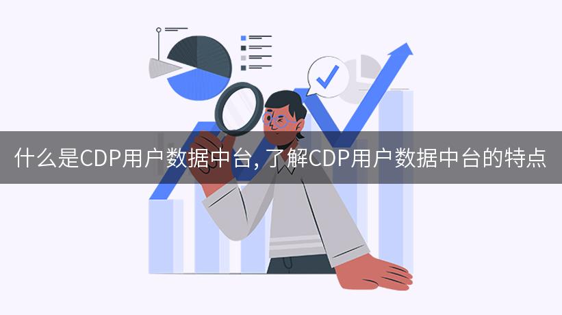 什么是CDP用户数据中台, 了解CDP用户数据中台的特点