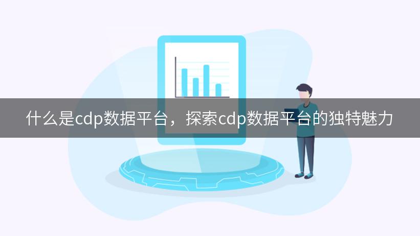 什么是cdp数据平台，探索cdp数据平台的独特魅力