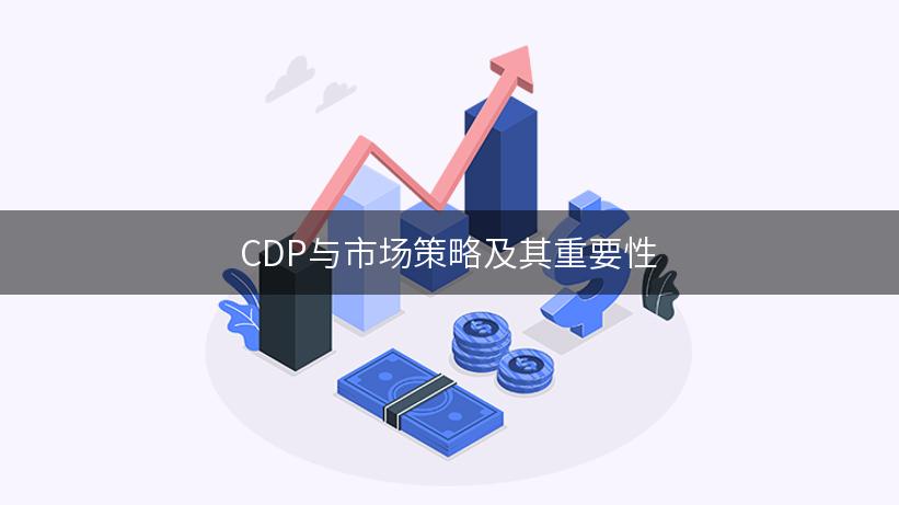 CDP与市场策略及其重要性