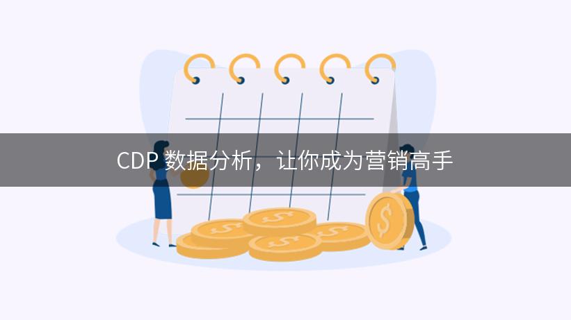 CDP 数据分析，让你成为营销高手