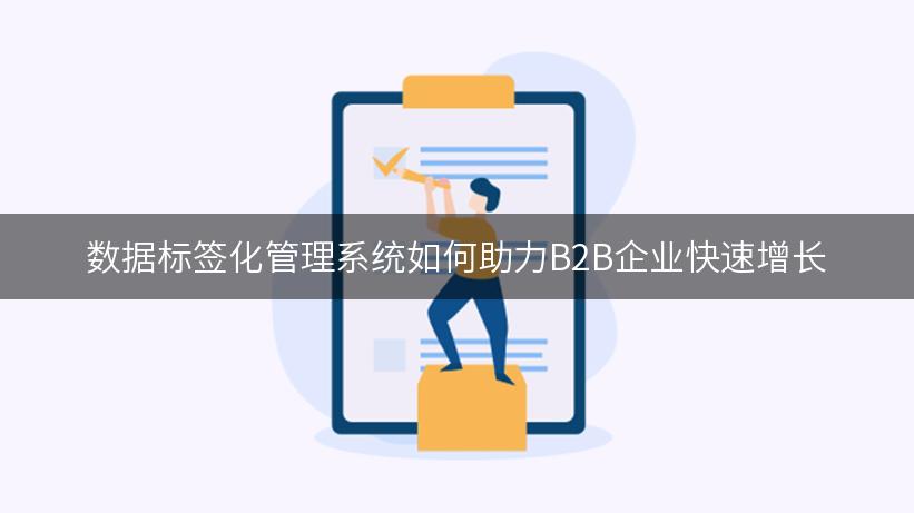 数据标签化管理系统如何助力B2B企业快速增长