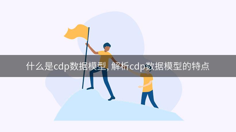 什么是cdp数据模型, 解析cdp数据模型的特点