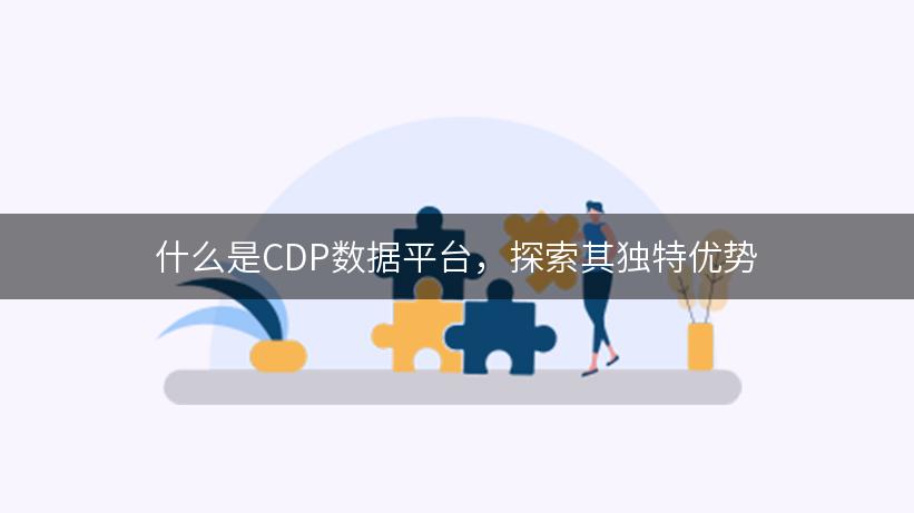 什么是CDP数据平台，探索其独特优势