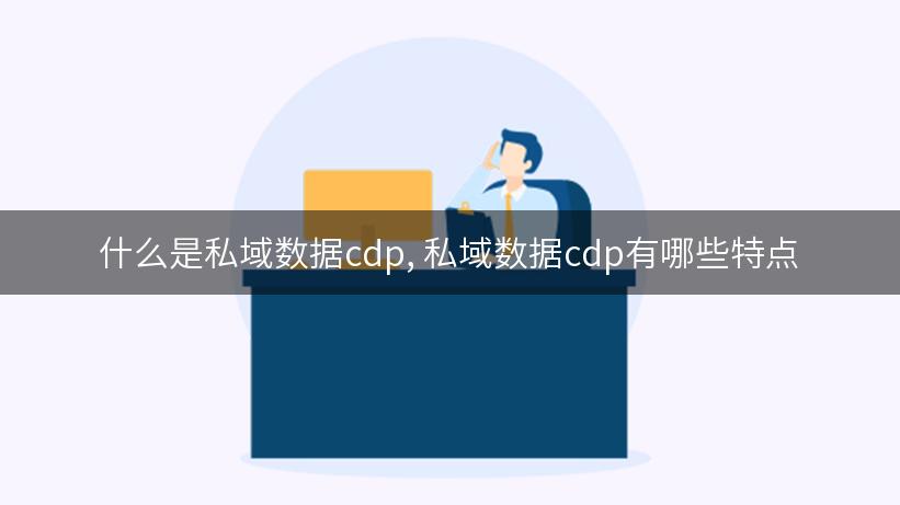 什么是私域数据cdp, 私域数据cdp有哪些特点