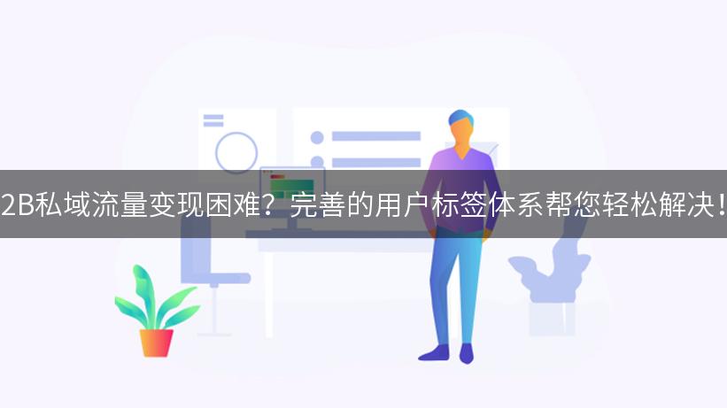 B2B私域流量变现困难？完善的用户标签体系帮您轻松解决！