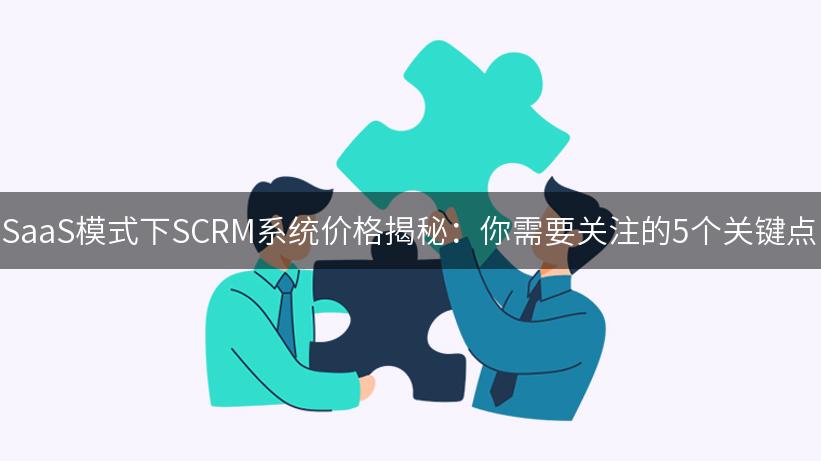 SaaS模式下SCRM系统价格揭秘：你需要关注的5个关键点