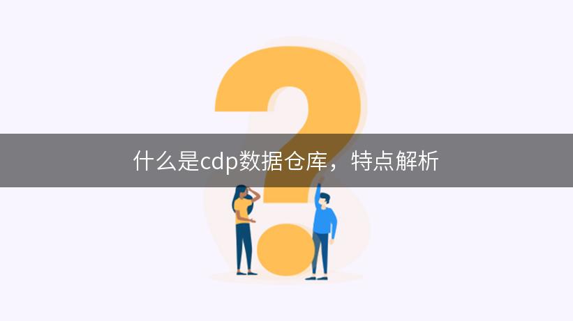 什么是cdp数据仓库，特点解析