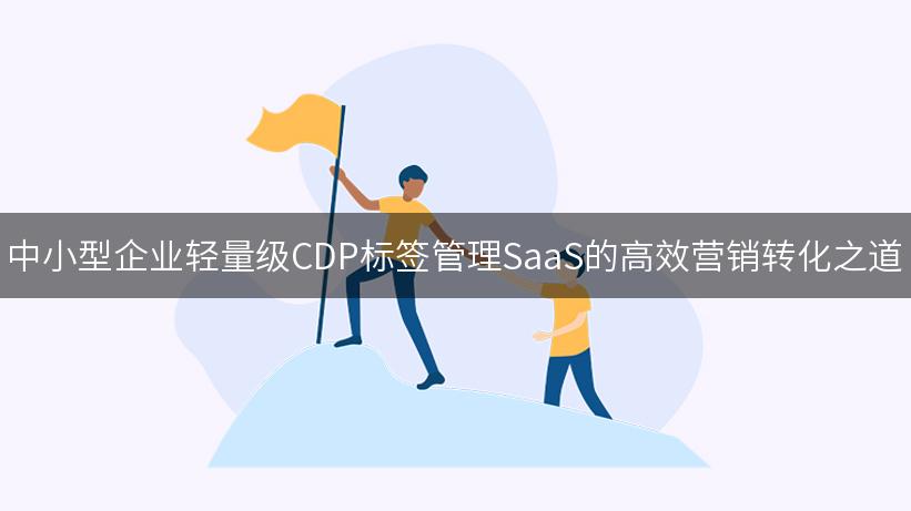 中小型企业轻量级CDP标签管理SaaS的高效营销转化之道