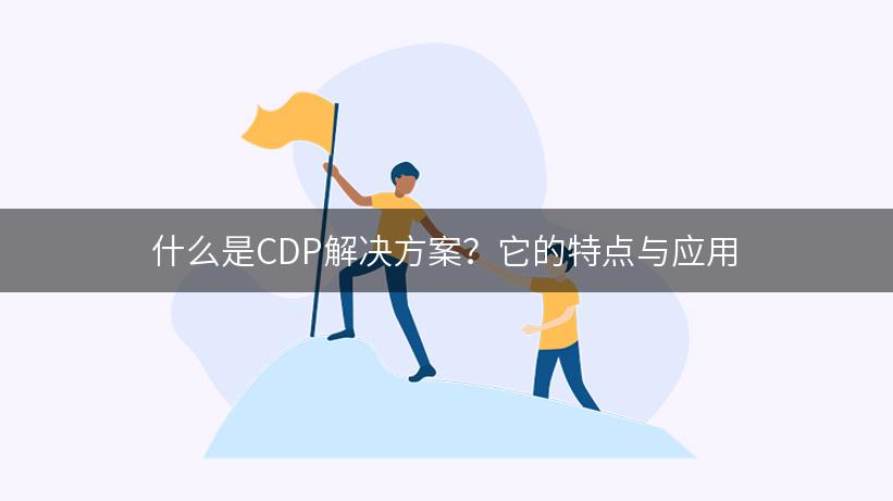 什么是CDP解决方案？它的特点与应用