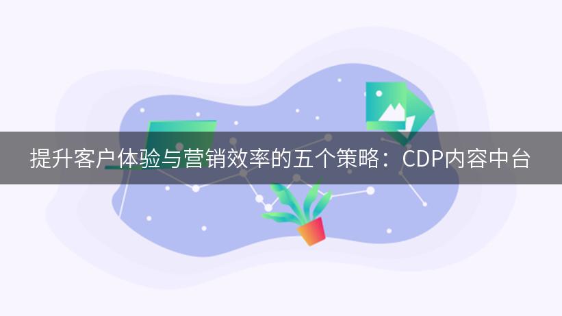 提升客户体验与营销效率的五个策略：CDP内容中台