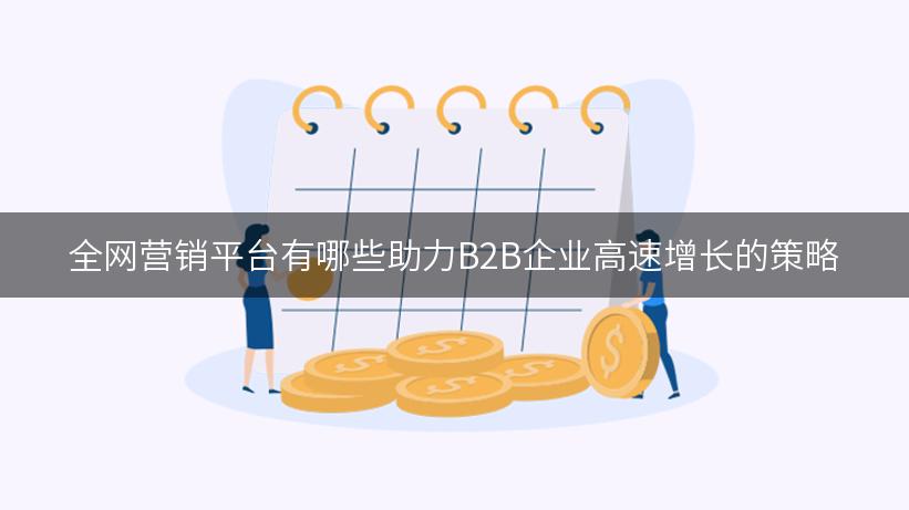 全网营销平台有哪些助力B2B企业高速增长的策略