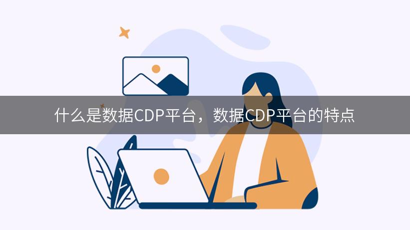 什么是数据CDP平台，数据CDP平台的特点