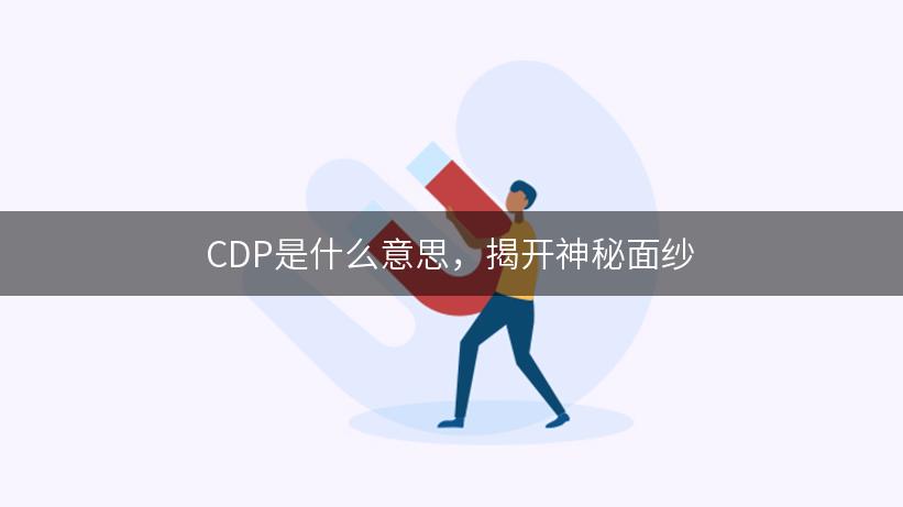 CDP是什么意思，揭开神秘面纱