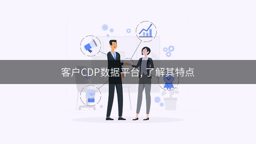 客户CDP数据平台, 了解其特点