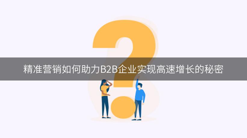 精准营销如何助力B2B企业实现高速增长的秘密