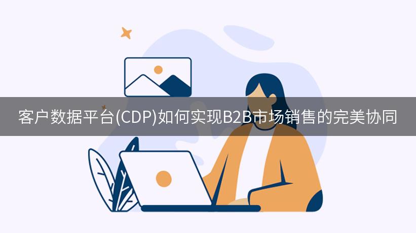 客户数据平台(CDP)如何实现B2B市场销售的完美协同