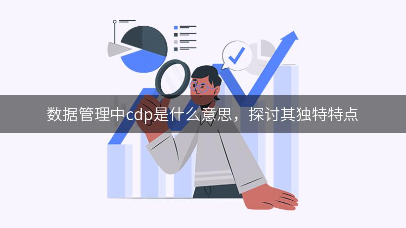 数据管理中cdp是什么意思，探讨其独特特点