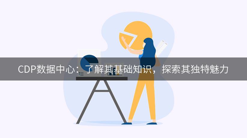 CDP数据中心：了解其基础知识，探索其独特魅力