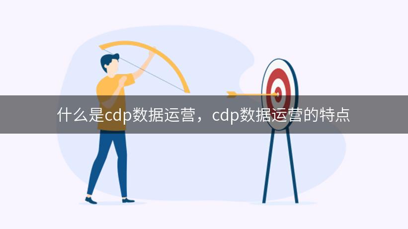 什么是cdp数据运营，cdp数据运营的特点