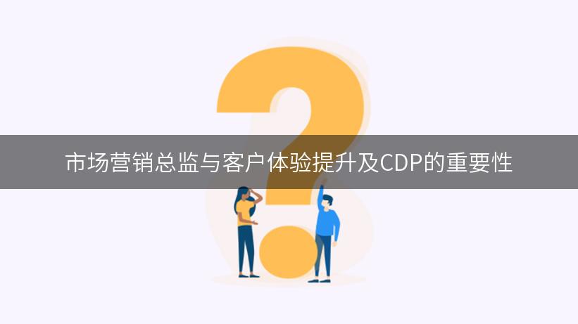 市场营销总监与客户体验提升及CDP的重要性