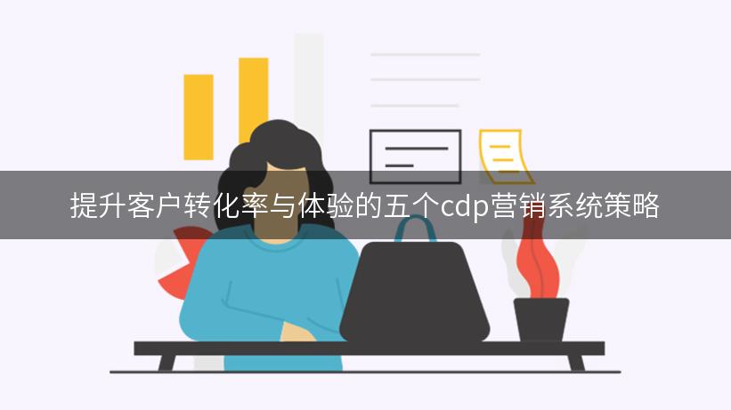 提升客户转化率与体验的五个cdp营销系统策略