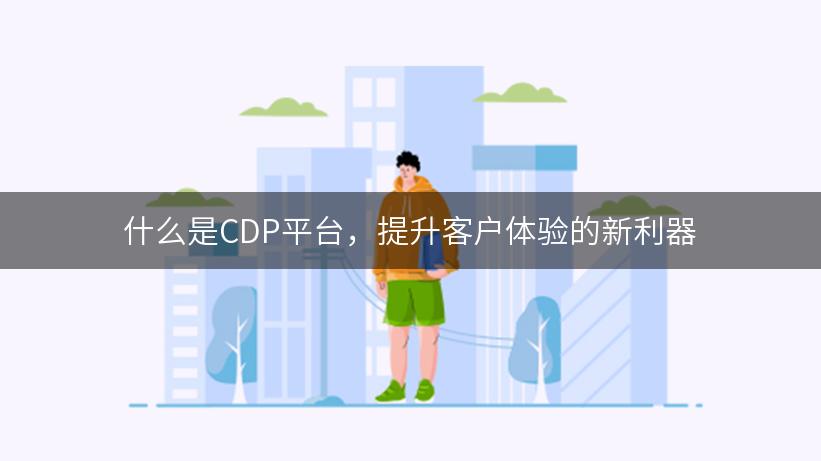 什么是CDP平台，提升客户体验的新利器