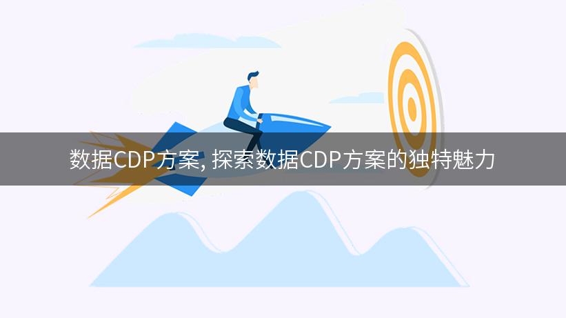 数据CDP方案, 探索数据CDP方案的独特魅力