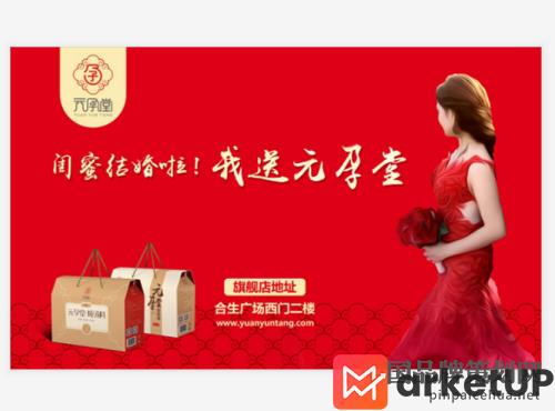 元孕堂母婴用品,滋补品,营销策划,策划案例