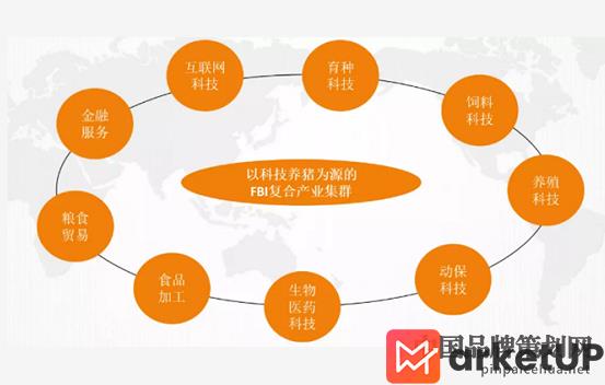 金新农大品牌战略升级规划,品牌战略升级,金新农产业集群图谱