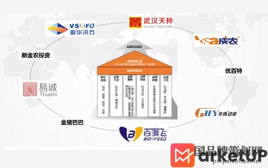 金新农大品牌战略升级规划,品牌战略升级,金新农家族谱