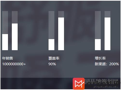 品牌定位,战略定位,金嗓子二次品牌定位