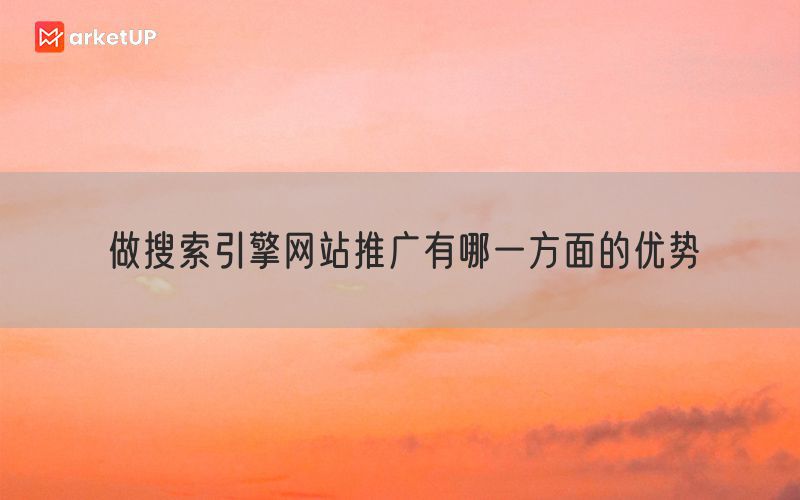 做搜索引擎网站推广有哪一方面的优势(图1)