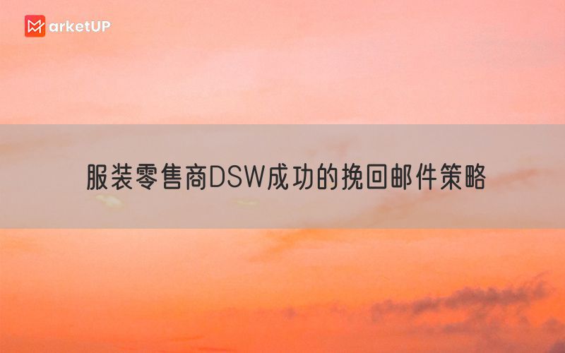 服装零售商DSW成功的挽回邮件策略
(图1)