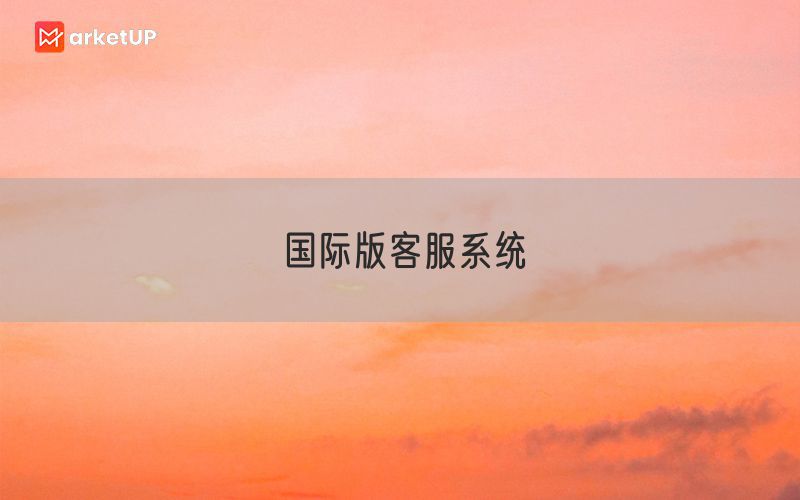 国际版客服系统(图1)