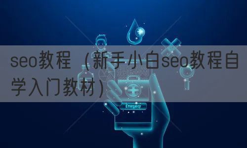 seo教程（新手小白seo教程自学入门教材）(图1)